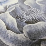 HALFTONE SCREEN